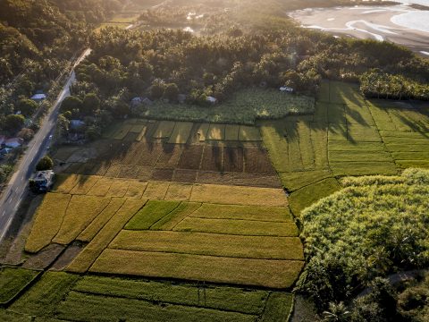 Marmara Ereğlisi 78 Ada Projesi