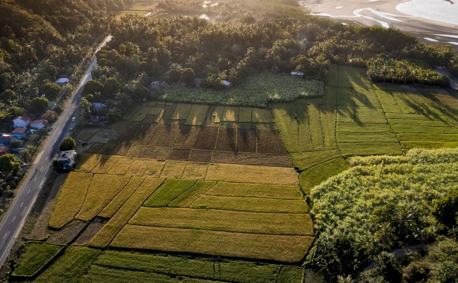 Marmara Ereğlisi 78 Ada Projesi