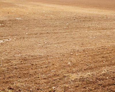 Tekirdağ Yeniçiftlik Arsa Projesi