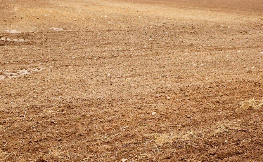 Tekirdağ Yeniçiftlik Arsa Projesi