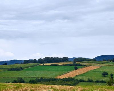 Tekirdağ Yavuz Mahallesi Arsa Projesi