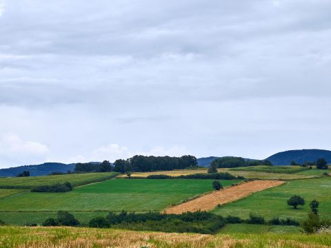 Tekirdağ Yavuz Mahallesi Arsa Projesi