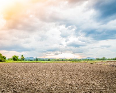 Kumbağ 200 M2 Arsa Projesi